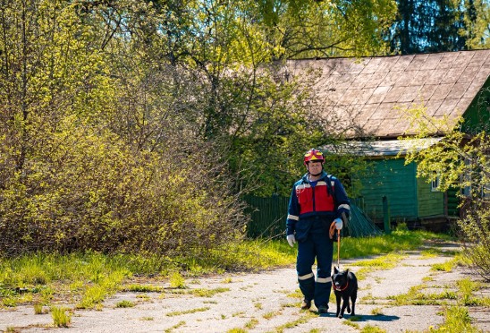 Когда лес становится лабиринтом: что делать, если вы заблудились во время прогулки