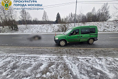 В Зеленограде произошла дорожная авария, повлекшая гибель животного