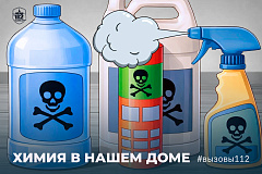 Химия в нашем доме: чисто, быстро. Безопасно?