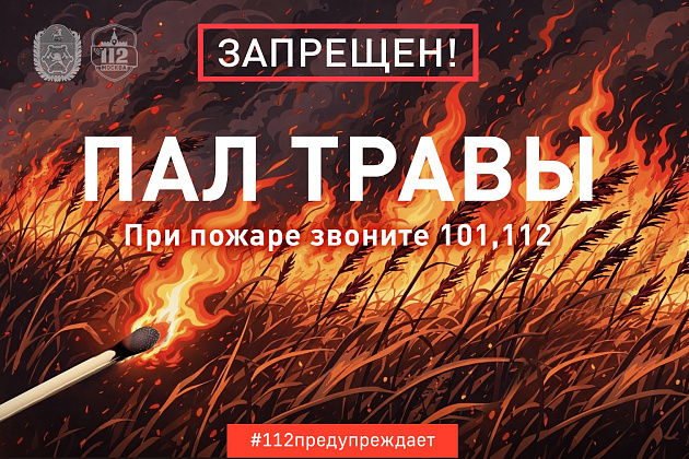 Огненная ситуация