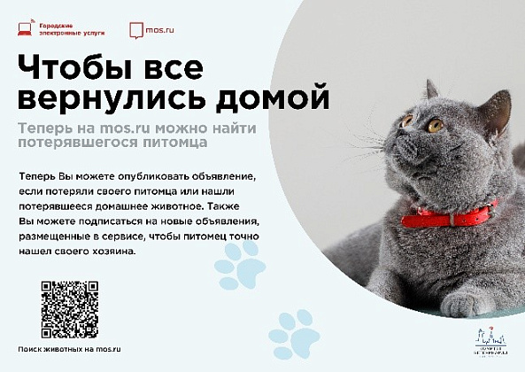 БЕШЕНСТВО – особо опасная заразная болезнь теплокровных животных всех видов и человека, характеризующаяся поражением центральной нервной системы. Инкубационный период болезни составляет от 14 до 60 календарных дней. В развитии болезни различаются продрома БЕШЕНСТВО – особо опасная заразная болезнь теплокровных животных всех видов и человека, характеризующаяся поражением центральной нервной системы. Инкубационный период болезни составляет от 14 до 60 календарных дней. В развитии болезни различаются продрома