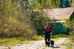 Когда лес становится лабиринтом: что делать, если вы заблудились во время прогулки