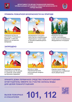 Дача в плену у солнца