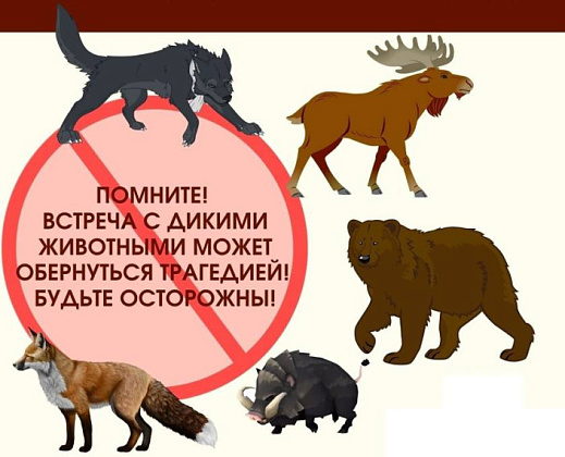 Нежданные гости